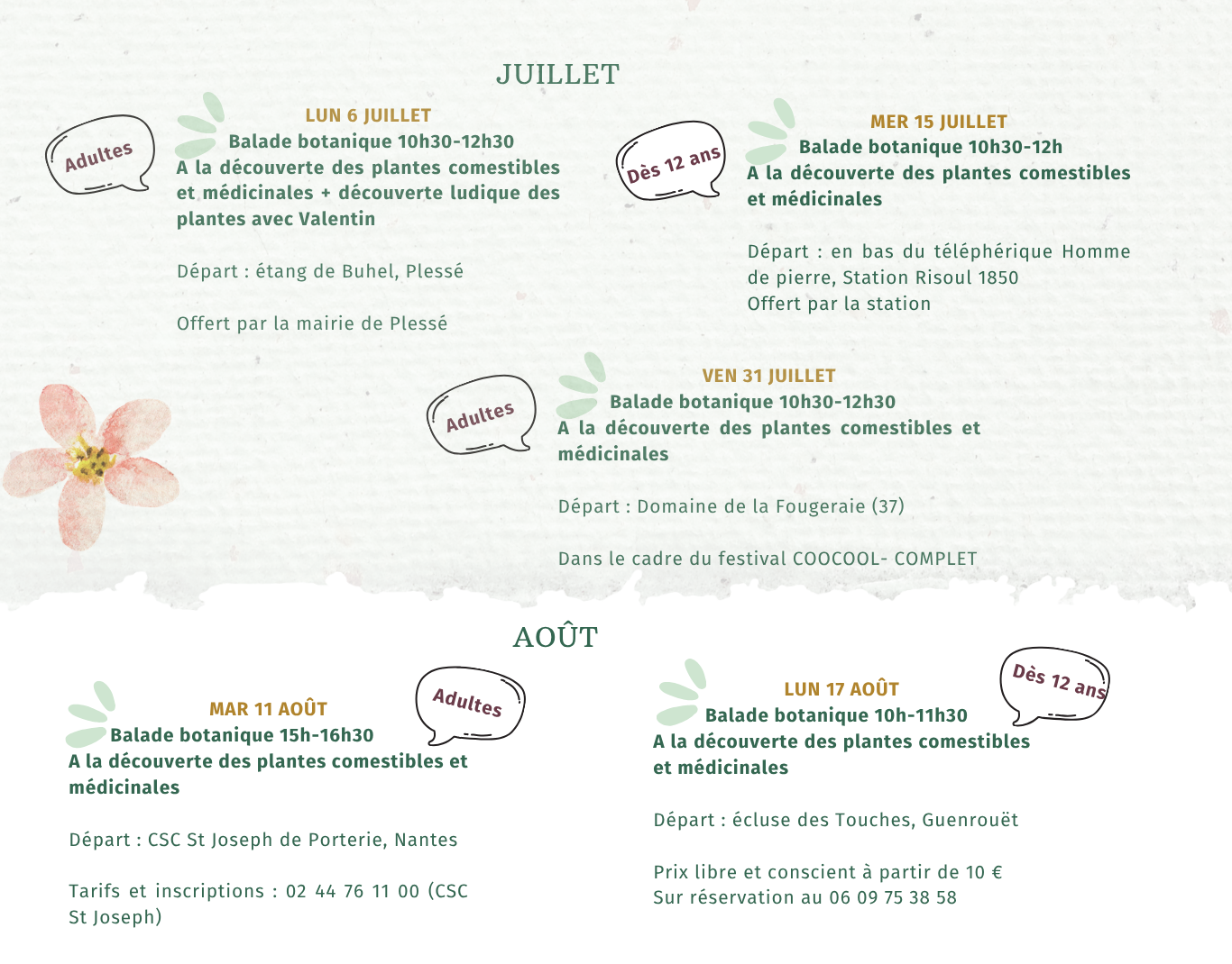 Programme Juillet Aout balade botanique